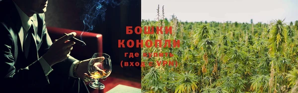 PSILOCYBIN Гусиноозёрск