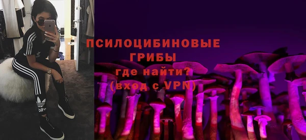 не бодяженный Гусь-Хрустальный
