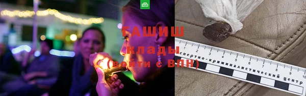 PSILOCYBIN Гусиноозёрск
