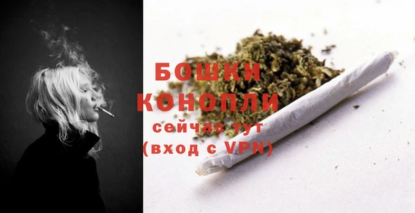 PSILOCYBIN Гусиноозёрск