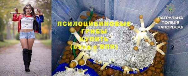 PSILOCYBIN Гусиноозёрск
