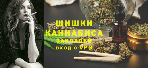 PSILOCYBIN Гусиноозёрск