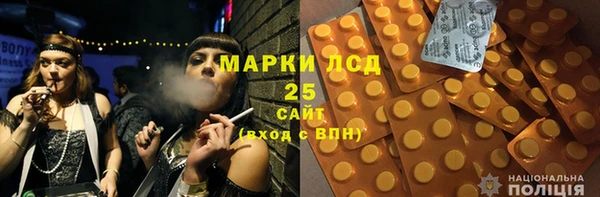 PSILOCYBIN Гусиноозёрск