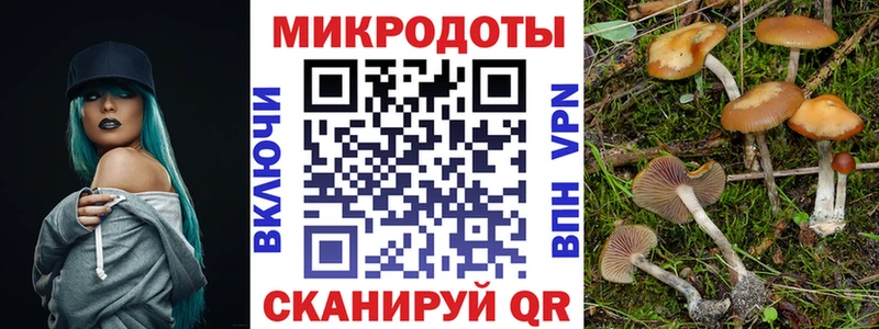 Галлюциногенные грибы мухоморы Звенигово