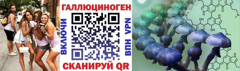 продажа наркотиков  hydra   Псилоцибиновые грибы мицелий  Звенигово 
